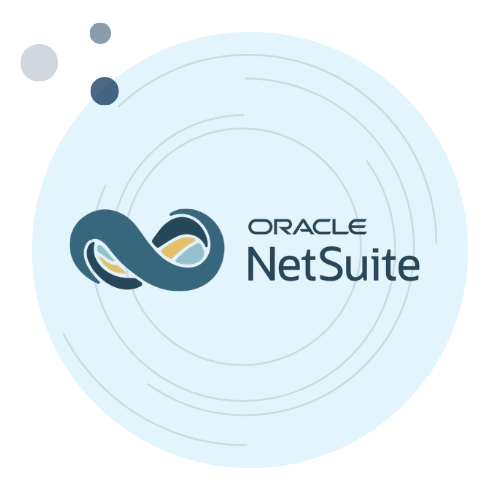 NetSuite Health Check Report