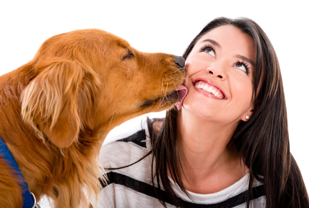 Cute dog kissing a woman - isolated over a white background