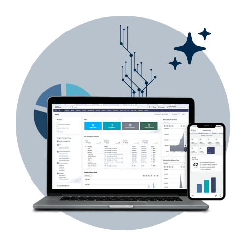 Evaluating NetSuite data governance