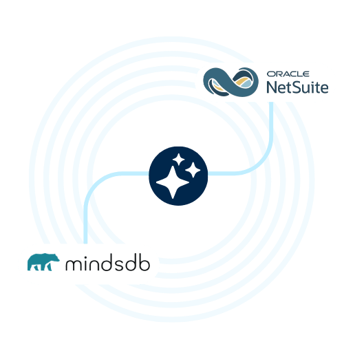 How MindsDB Works with NetSuite and Connected Systems