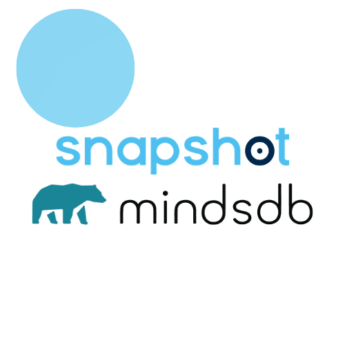 Snapshot + MindsDB