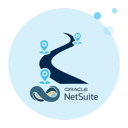 NetSuite AI Assessment