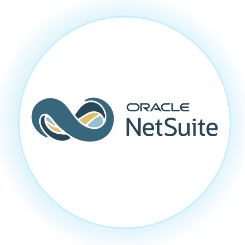 Snapshot Supports NetSuite Native AI