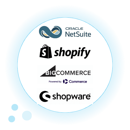 Snapshot ECommerce Partners