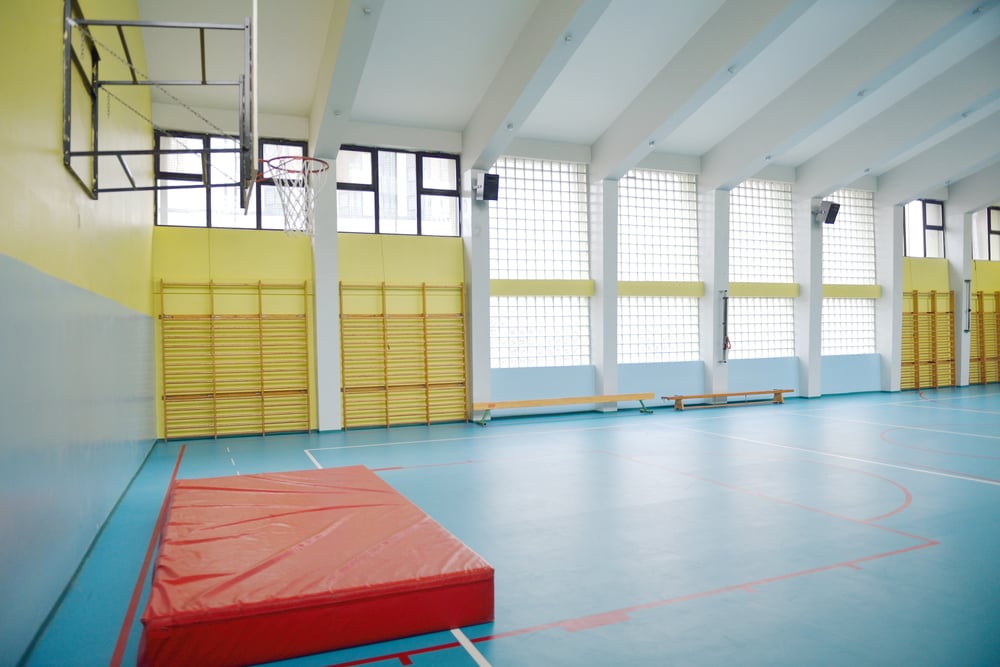 Flaghouse Image of elementary school gym indoor