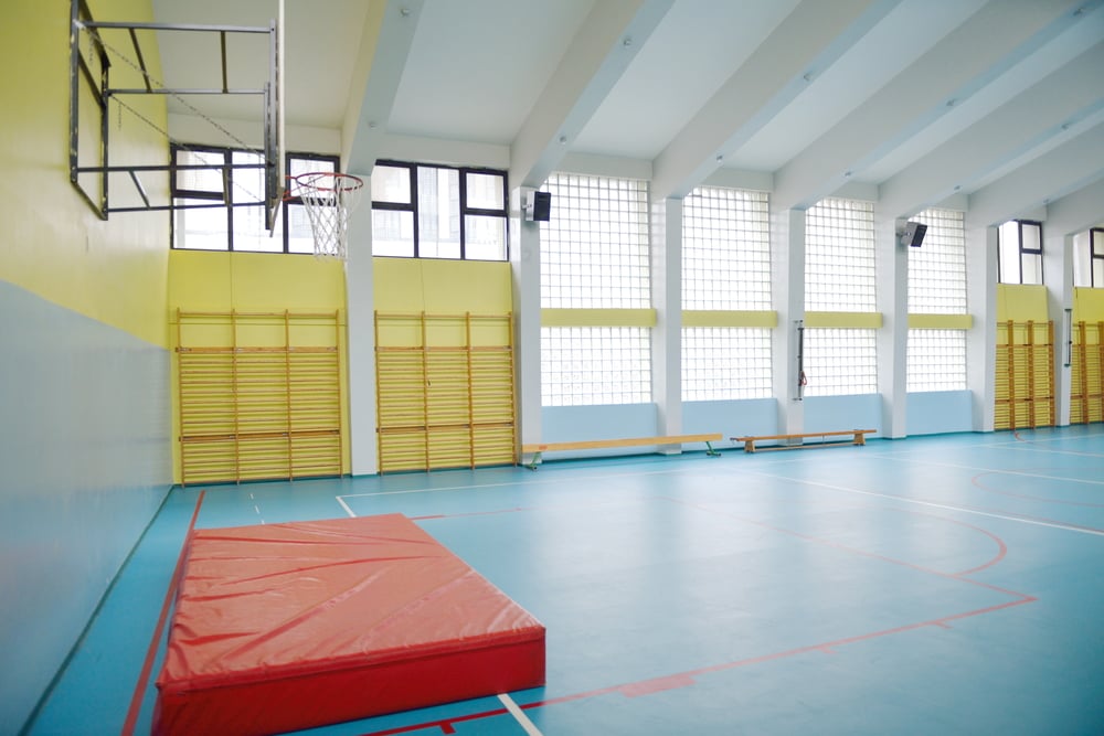 Flaghouse Image of elementary school gym indoor