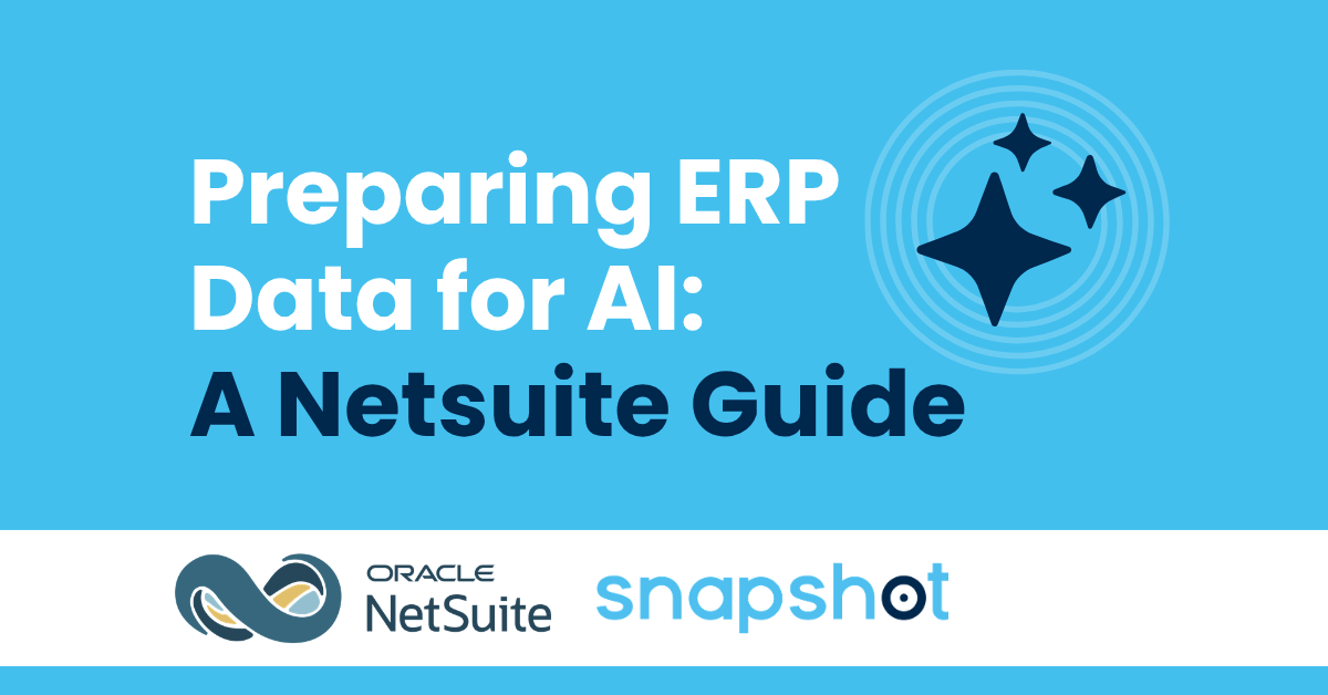 Preparing ERP Data for AI: A NetSuite Guide