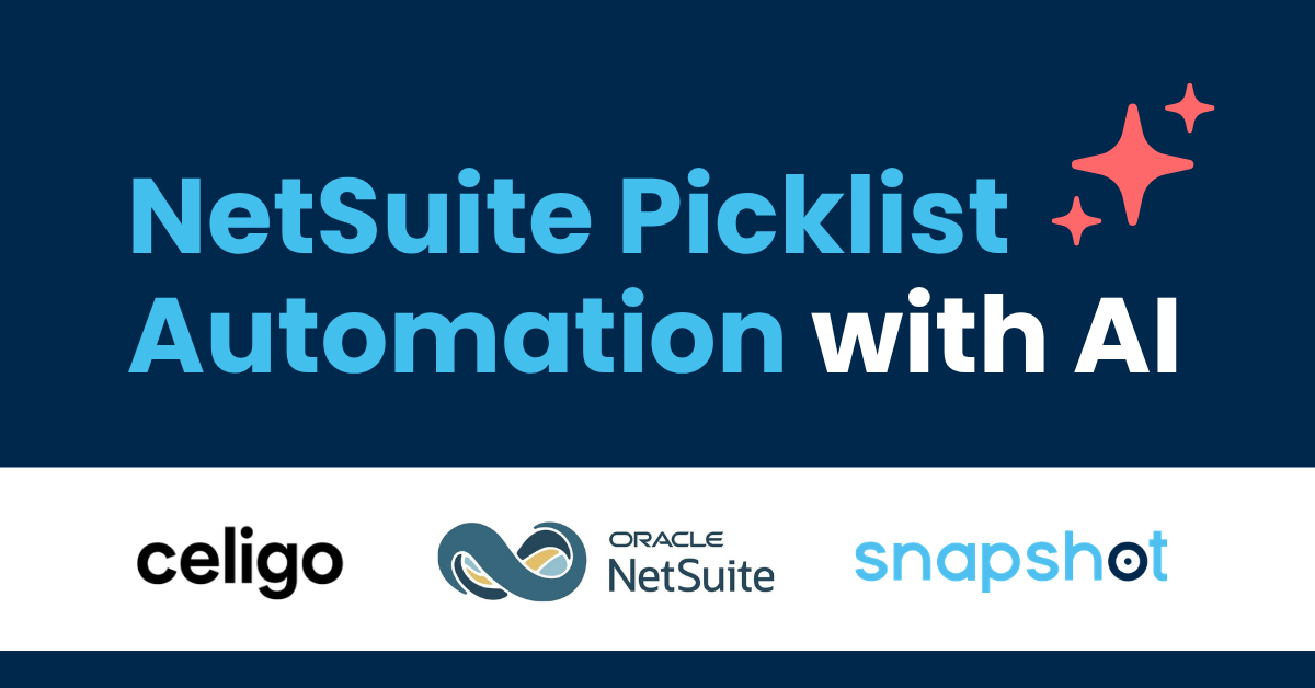 NetSuite Picklist Automation with AI