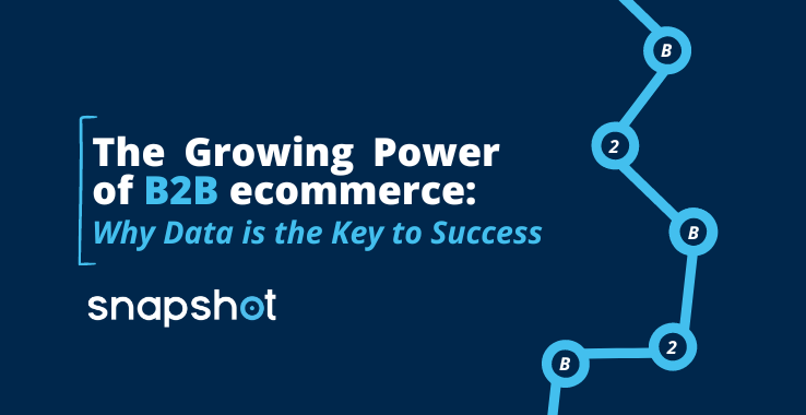 The Growing Power of B2B ecommerce: Why Data is the Key to Success