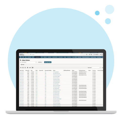 NetSuite Support and Managed Services